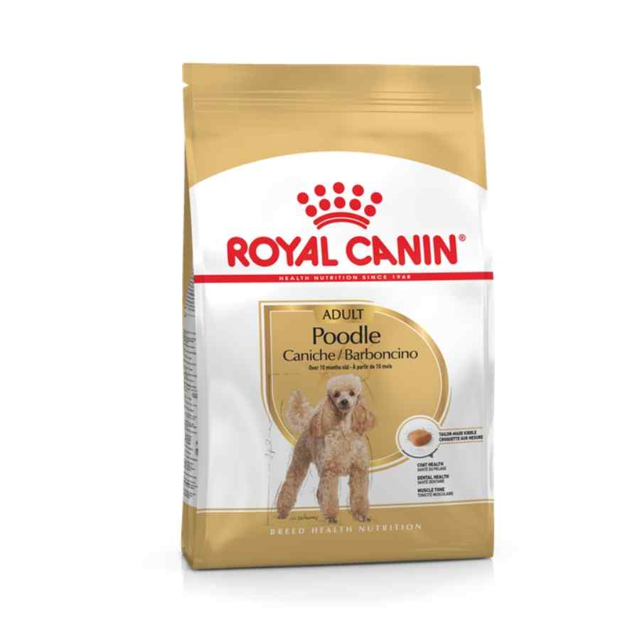 Royal Canin Bhn Poodle Adult Alimento Seco Perro, , large image number null